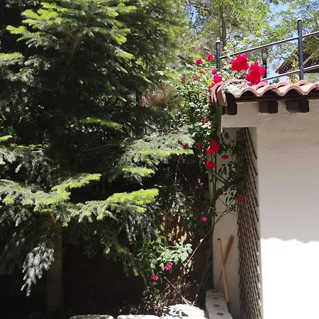 فيلة Enriette - Panoramic Mountain Retreat In Pano Platres, Cyprus