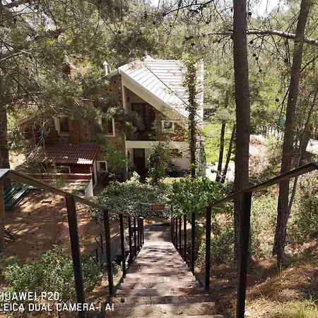 Enriette - Panoramic Mountain Retreat In Pano Platres, Cyprus