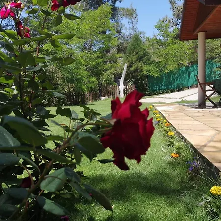 Enriette - Panoramic Mountain Retreat In Pano Platres, Cyprus Villa *