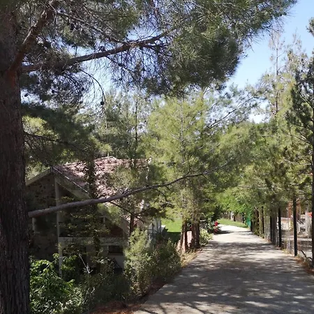 Enriette - Panoramic Mountain Retreat In Pano Platres, Cyprus Villa Kato Platres